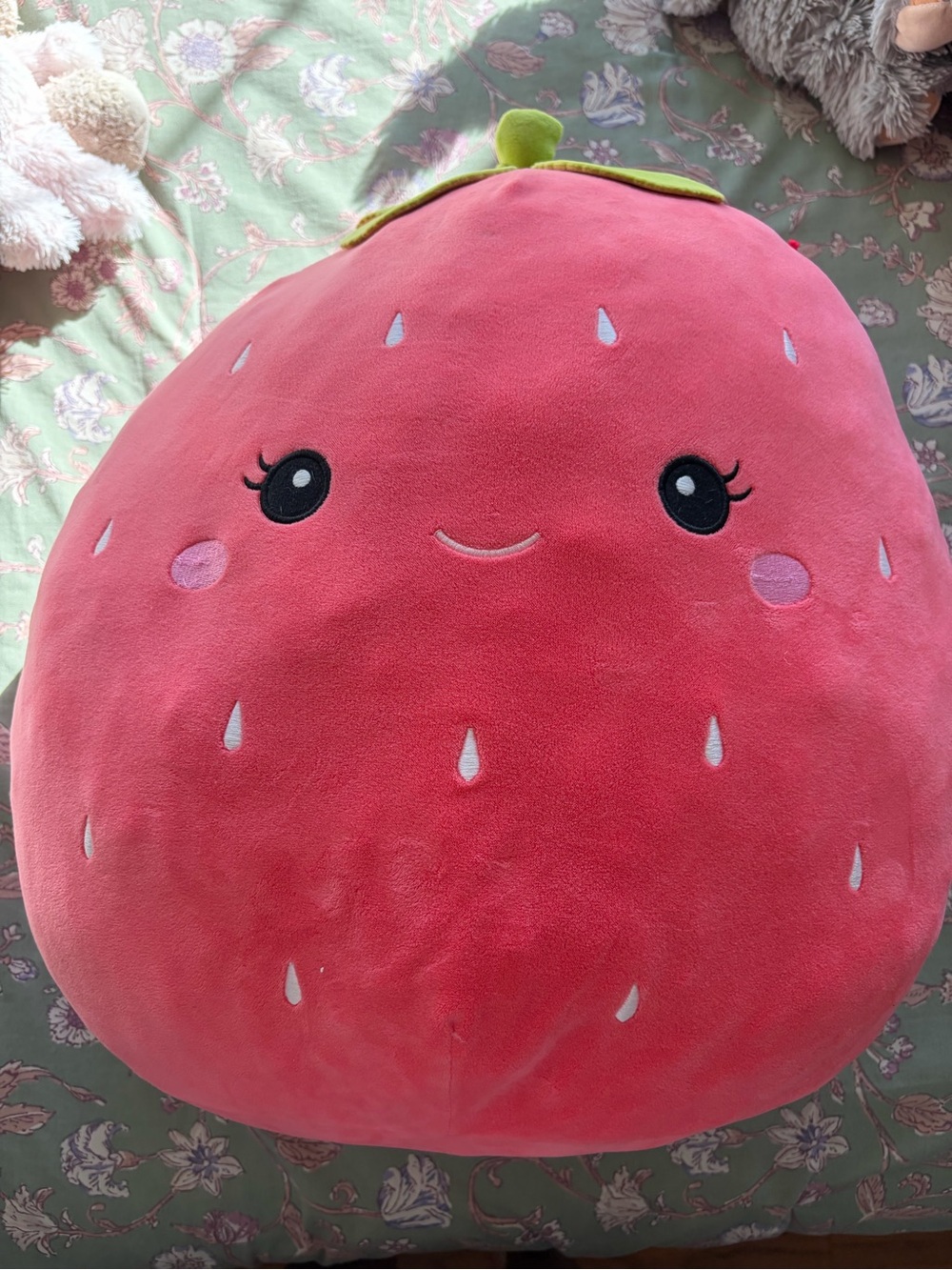 Plush Strawberry Throw Pillow - Pink Plush Home Accent